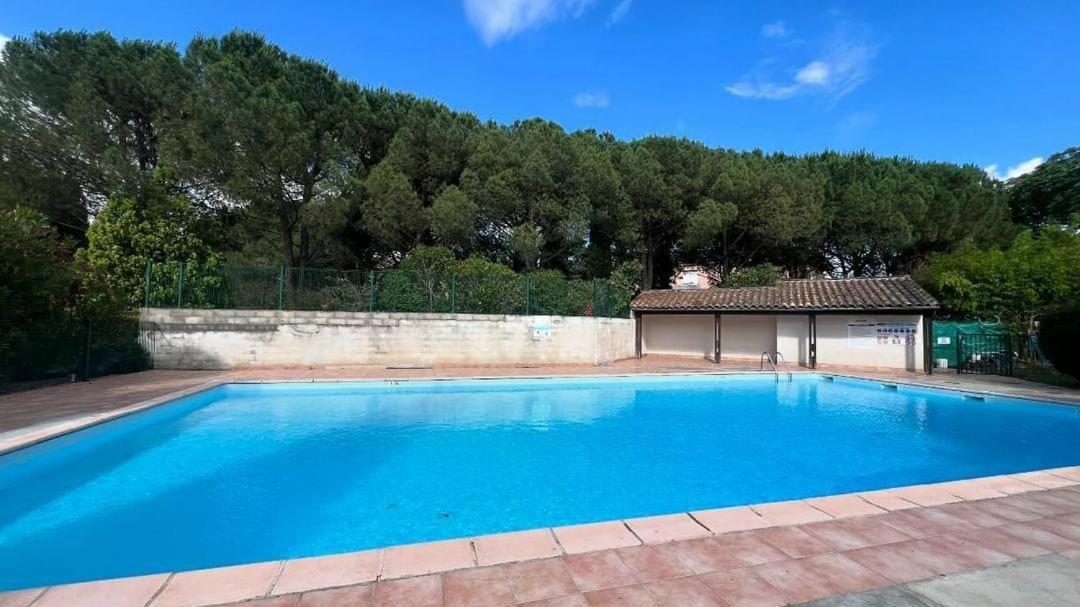 Les Capitouls - Avec Entree Autonome, Jardin, Parking Prive & Sa Piscine ! - Apartment